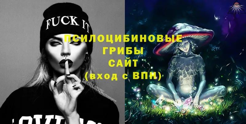 купить  сайты  Болохово  Галлюциногенные грибы Magic Shrooms 